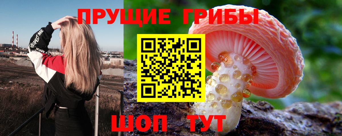 Галлюциногенные грибы Psilocybine cubensis  Вход с VPN  сколько стоит  Евпатория  Псилоцибиновые грибы Psilocybine cubensis 