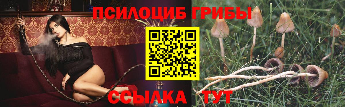 Псилоцибиновые грибы ЛСД Евпатория